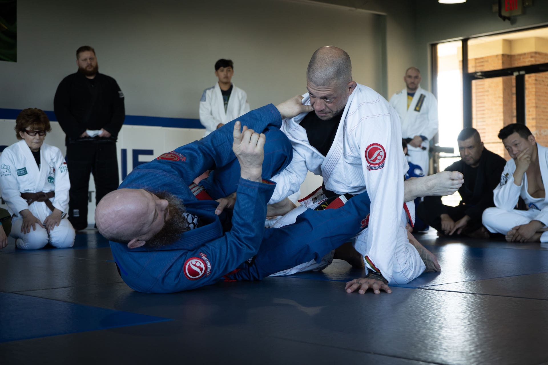 Adult Brazilian Jiu Jitsu Image